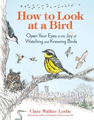 How to Look at a Bird: Open Your Eyes to the Joy of Watching and Knowing Birds