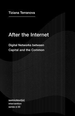 After the Internet: Digital Networks Between Capital and the Common