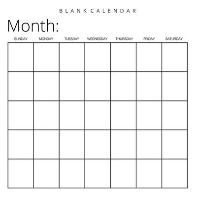 Blank Calendar: White Background, Undated Planner for Organizing, Tasks, Goals, Scheduling, DIY Calendar Book