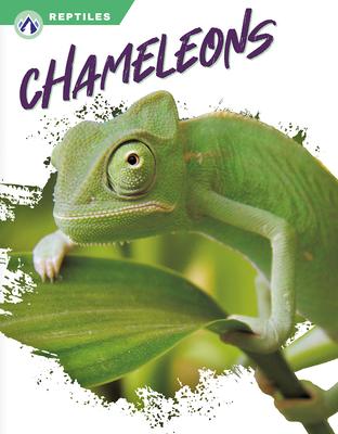 Chameleons