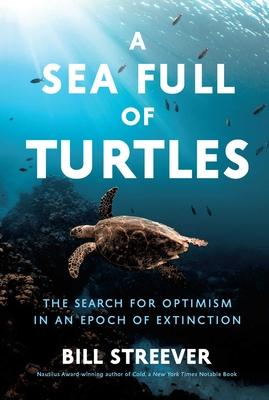 A Sea Full of Turtles: The Search for Optimism in an Epoch of Extinction