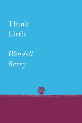 Think Little: Essays