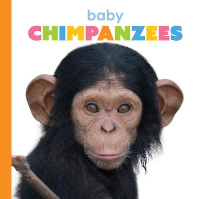 Baby Chimpanzees Subscription