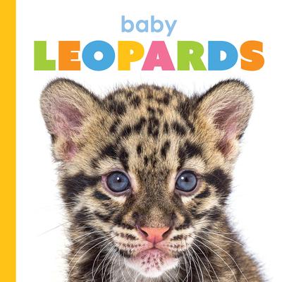 Baby Leopards Subscription