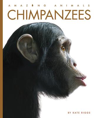 Chimpanzees