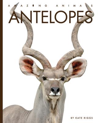 Antelopes