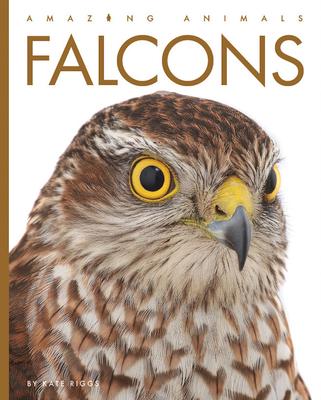 Falcons