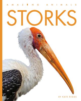 Storks