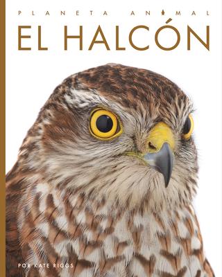 El Halcn