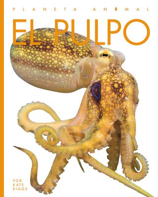 El Pulpo