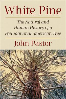 White Pine: The Natural and Human History of a Foundational American Tree