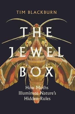 The Jewel Box: How Moths Illuminate Nature's Hidden Rules