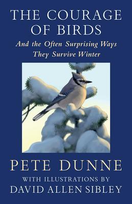 The Courage of Birds: And the Often Surprising Ways They Survive Winter