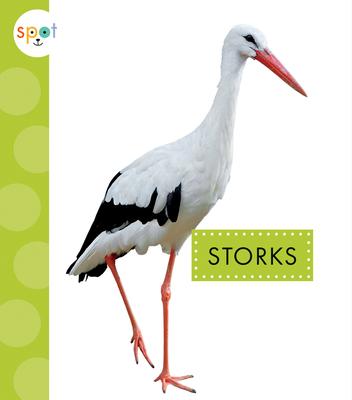 Storks