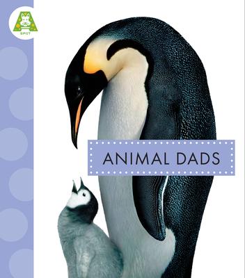 Animal Dads