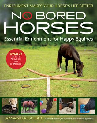 No Bored Horses: Essential Enrichment for Happy Equines