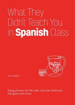 What They Didn't Teach You in Spanish Class: Slang Phrases for the Cafe, Club, Bar, Bedroom, Ball Game and More