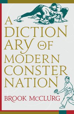 A Dictionary of Modern Consternation