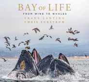 Bay of Life: From Wind to Whales Subscription