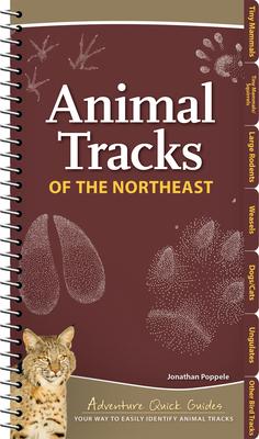 Animal Tracks of the Northeast: Your Way to Easily Identify Animal Tracks