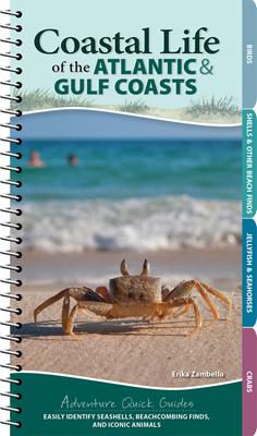 Coastal Life of the Atlantic and Gulf Coasts: Easily Identify Seashells, Beachcombing Finds, and Iconic Animals