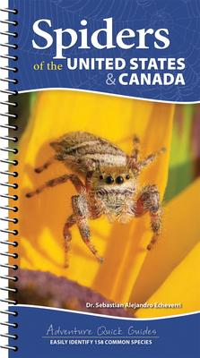 Spiders of the United States & Canada: Easily Identify 158 Common Species