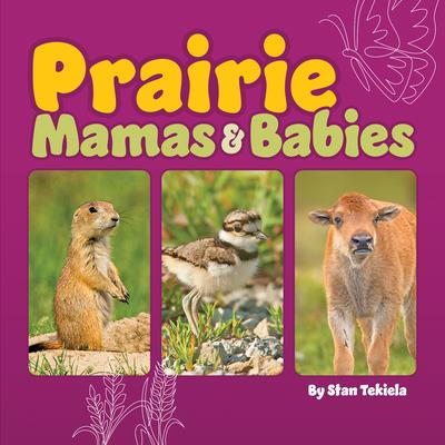 Prairie Mamas & Babies