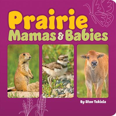 Prairie Mamas & Babies