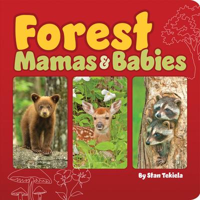 Forest Mamas & Babies