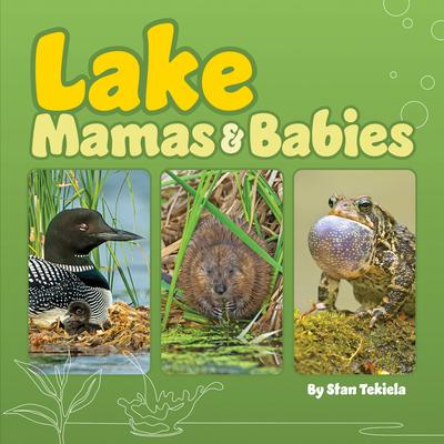 Lake Mamas & Babies