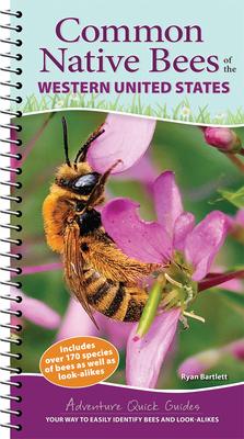 Common Native Bees of the Western United States: Your Way to Easily Identify Bees and Look-Alikes