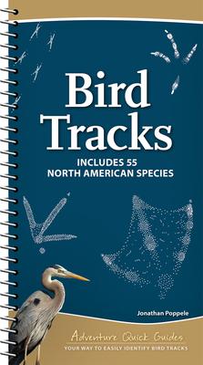 Bird Tracks: Includes 55 North American Species