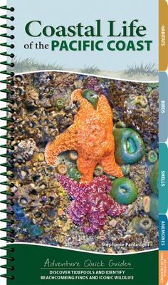 Coastal Life of the Pacific Coast: Discover Tidepools and Identify Beachcombing Finds and Iconic Wildlife