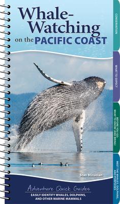 Whale-Watching on the Pacific Coast: Easily Identify Whales, Dolphins, and Other Marine Mammals