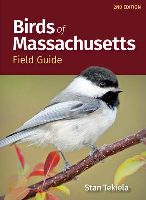 Birds of Massachusetts Field Guide