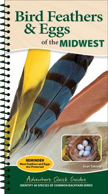 Bird Feathers & Eggs of the Midwest: Identify 40 Species of Common Backyard Birds Subscription