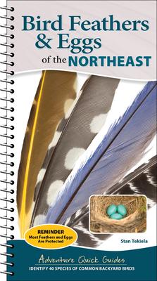 Bird Feathers & Eggs of the Northeast: Identify 40 Species of Common Backyard Birds Subscription