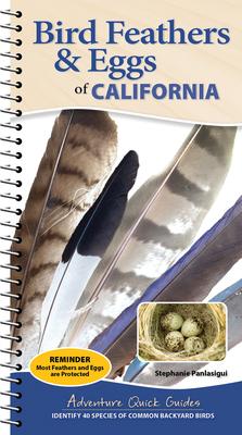 Bird Feathers & Eggs of California: Identify 40 Species of Common Backyard Birds Subscription