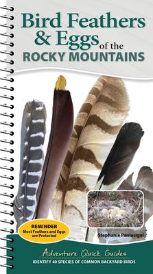 Bird Feathers & Eggs of the Rocky Mountains: Identify 40 Species of Common Backyard Birds Subscription
