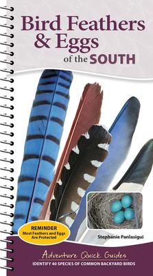 Bird Feathers & Eggs of the South: Identify 40 Species of Common Backyard Birds Subscription