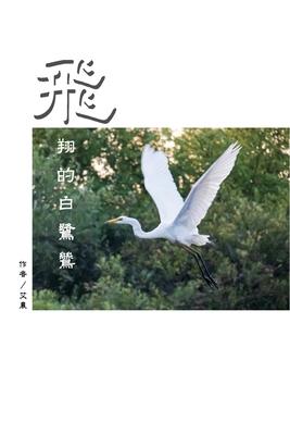 &#39131;&#32724;&#30340;&#30333;&#40442;&#40421;&#65288;&#32321;&#39636;&#20013;&#25991;&#29256;&#65289;: The Flying Egret (Traditional Chinese Editio