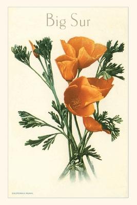 The Vintage Journal California Poppy, Big Sur