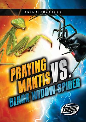 Praying Mantis vs. Black Widow Spider