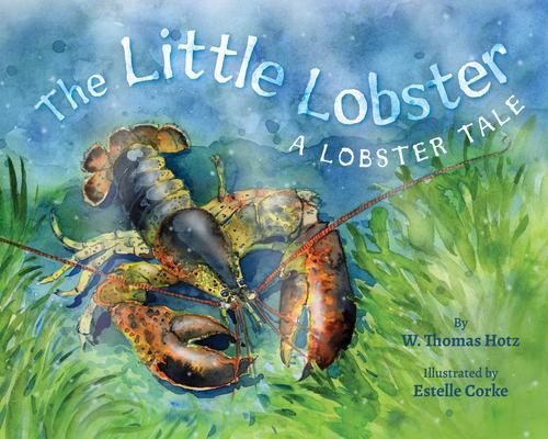 The Little Lobster Subscription