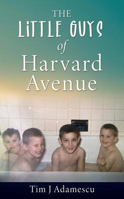 The Little Guys of Harvard Avenue