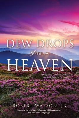 DEW DROPS From HEAVEN: Discovering God's Refreshment In The Wilderness Of Incarceration