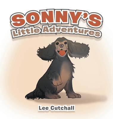 Sonny's Little Adventures