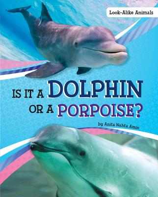 Is It a Dolphin or a Porpoise? Subscription