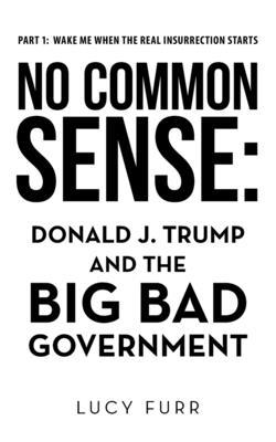 No Common Sense: Donald J. Trump and the Big Bad Government