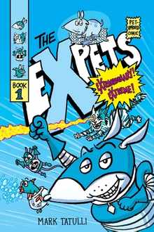 The Expets